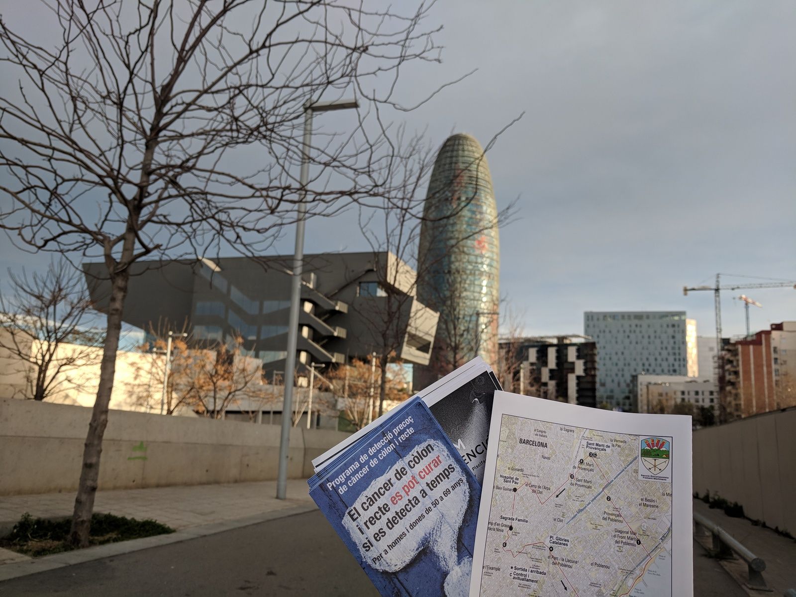 Caminamos juntos por la prevención del cáncer de colon y recto